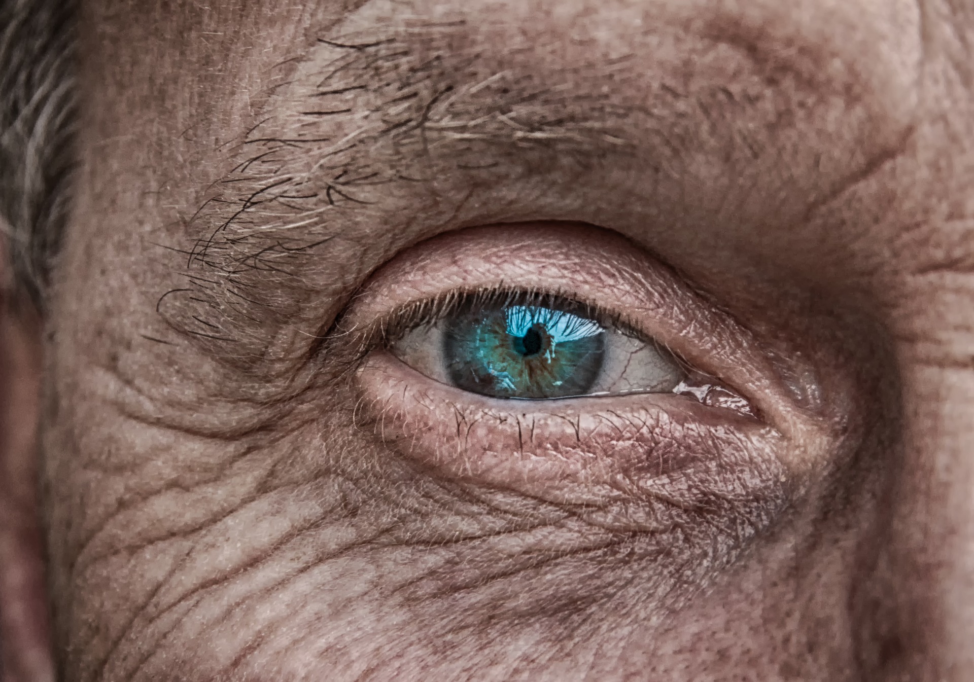 What Are The 3 Types Of Cataracts Three Types Of Cataracts Harvard Eye